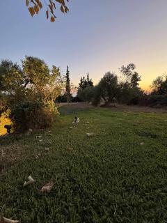 Country Vila - 5