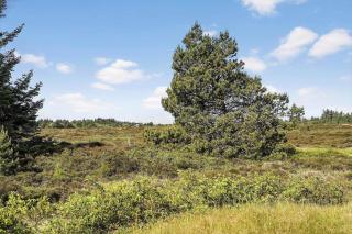 0170-Romo-Davidstraede-21 - 8