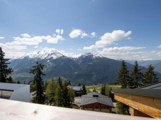 Appartement neuf rooftop, Sud, proche pistes, cheminée, wifi - FR-1-690-21 - 3