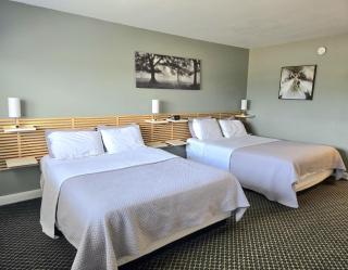 Lord Nelson Motel - Kingston - 8