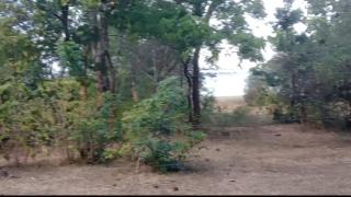 Lake viwe - Udawalawe - 1