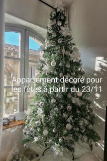 La Garriguette Appart centre historique calme climatisé 4 chambres - 8 à 10 couchages - 8
