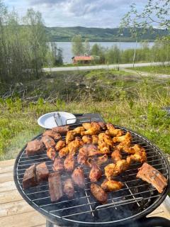 Cabin in scenic surroundings in Senja - 8