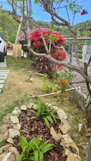 Tropical Retreat - 8