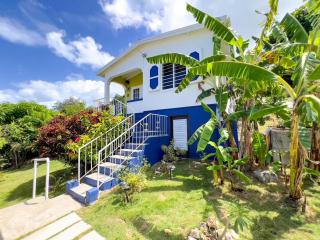 Tropical Retreat - 3
