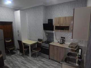 Nicola House in Borjomi - 8