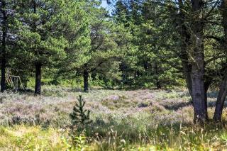 0119-Romo-Smafolksvej-43 - 7