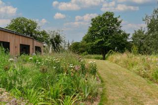 Daisys Barn - Mattishall - 3