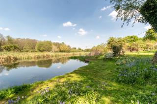 Stone Cottage - Aylsham - 1