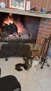 Puccio's Little House - Nucavi - 3