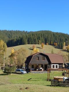 Cabana Soarelui,Napos vendégház - Valea Boroş - 4