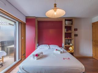 Studio lumineux proche des pistes, animaux admis - FR-1-517-32 - 5