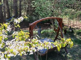 Kota Hutte Africain, bain norvégien et sauna - 3