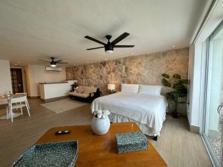 Oceanfront Boutique Suites & Studios in Cancun - Casa Playa Tortugas - 1