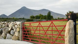 Wee Henry's Barn - 8