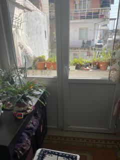 Daniels Place - 4