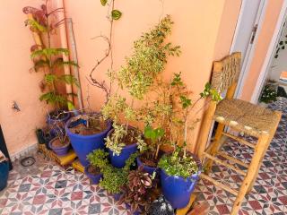 Room in a Bed & Breakfast l Jamma Fna Square Vibe - 1