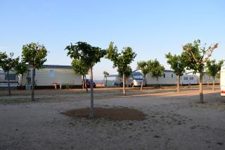 Camping el Pinar Platja - Santa Susanna - 1