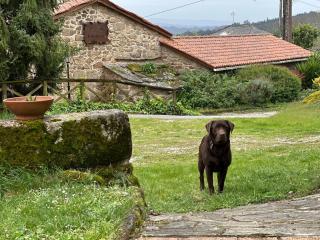 Casa Rural A Cobacha - 5