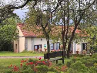 Casa Rural A Cobacha - 7