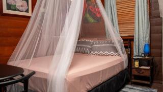 LayZ Days Hibiscus Cabin - 5