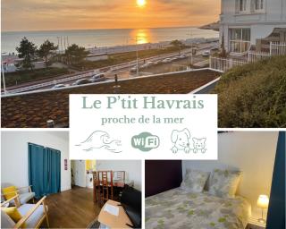 Le Ptit Havrais, appartement à 2 pas de la mer - 0