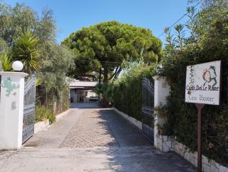 Canto delle Rane - 8