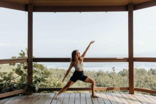 Hoot Owl with a private hot tub - 9