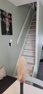 Appartement cosy le flamant rose - 8