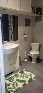 Appartement cosy le flamant rose - 5