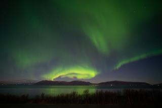 Aurora Wonderland- Cozy glass- roof cabins - 6