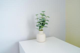 3 Bedroom House Near Manchester Airport with Free Parking, Ideal For Airport Workers & Families - Hosted by Eason Stays - 4