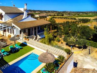 Countryside villa with winter garden - 3