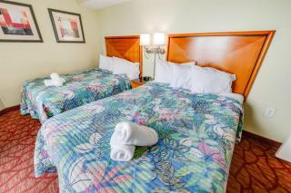 2BR Pools, Views, Direct Oceanfront, Bay View! - Myrtle Beach - 4