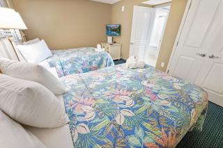8th Floor Stunning Views, Contemporary Oceanfront! - Myrtle Beach - 1