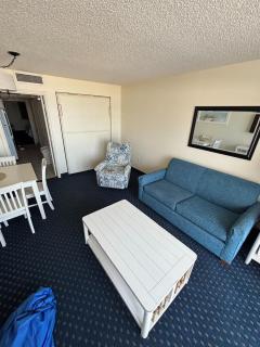 Oceanfront Condo Direct Oceanfront Views, Baywatch - 9