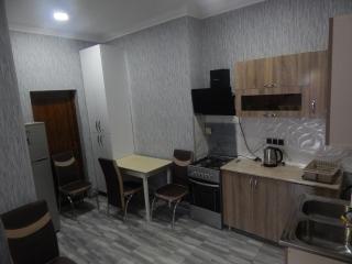 Nicola House in Borjomi - 9