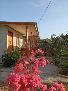 Mbore Homestay - 7