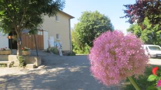 Camping la Tour - Embrun - 6