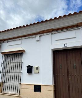 Pino Grande 16 - 9