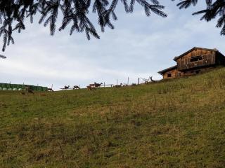 Sonnenhütte unten - 3