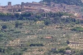 Casa Susina in the Heart of Tuscany - Cortona - 5
