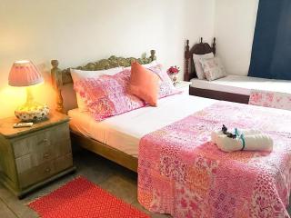 Canto das Laranjeiras Tombo - 6