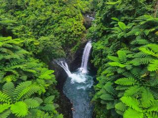 Emma's Homestay Explorer - 5