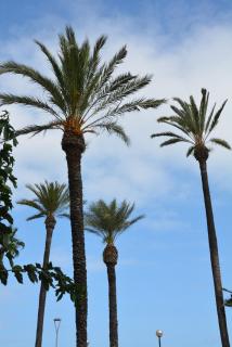 Apartamento Flavia I Espalter - Sitges - 7