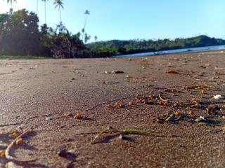 Emma's Homestay Explorer - - 6