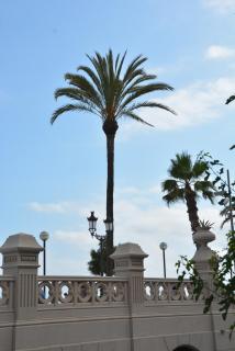 Apartamento Flavia I Espalter - Sitges - 3