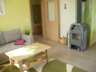 Holiday home in Röbel with swimming pool - 5