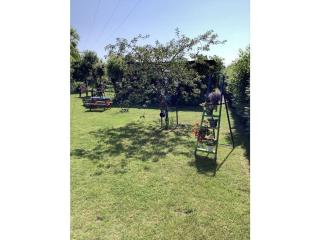 Holiday home in Rügeband with swimming pool - 3