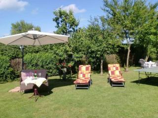 Holiday home in Rügeband with swimming pool - 5